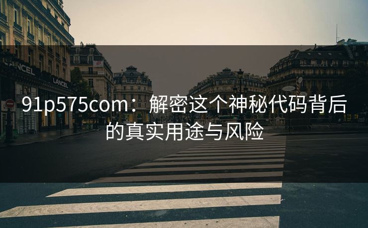 91p575com：解密这个神秘代码背后的真实用途与风险  第1张