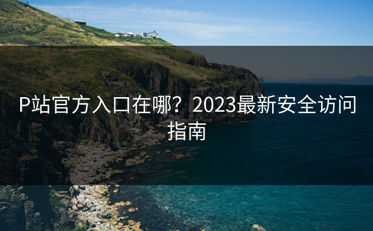 P站官方入口在哪？2023最新安全访问指南  第1张