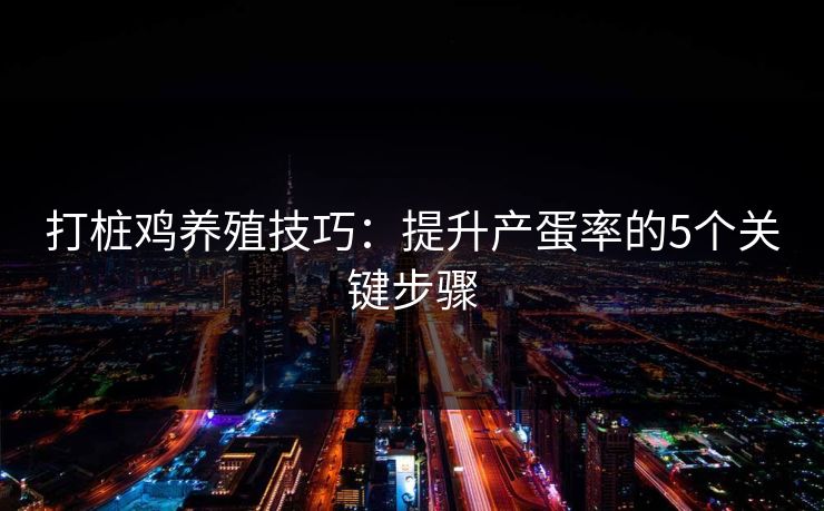 打桩鸡养殖技巧:提升产蛋率的5个关键步骤 打桩鸡养殖技巧:提升产蛋率的5个关键步骤