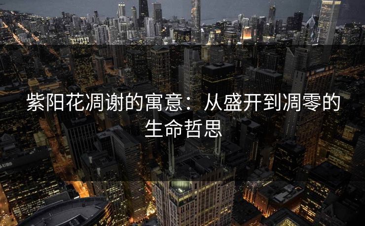 紫阳花凋谢的寓意：从盛开到凋零的生命哲思