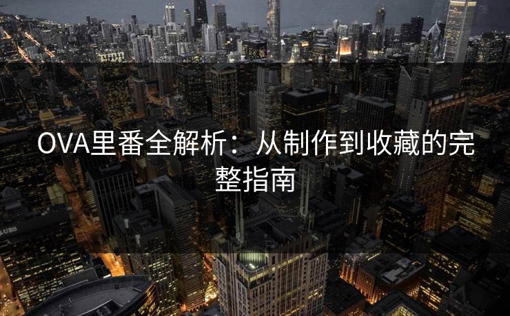 OVA里番全解析：从制作到收藏的完整指南  第1张